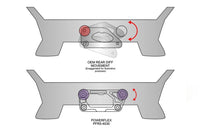 Powerflex Dual Mount Diff Bracket - F8x M2/M3/M4 - Evolve Automotive