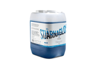 Stjarnagloss Snö - PH Neutral Snow Foam Pre - Wash | 1L - Evolve Automotive